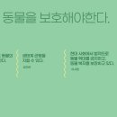 ＜화＞ 주제 3. 동물을 보호해야하는가 이미지