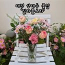 장바탕 | 대전 유성구 상대동 꽃집 '밀라플로라' 화병꽂이 원데이클래스 후기