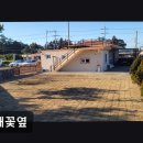수산리-20 | 제주도 유채꽃 여행 유채꽃옆 유채꽃옆, 편리한 접근성의 숙소