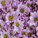 주식회사종이나라 이미지