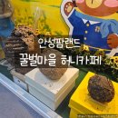 꿀벌목장 | 안성테마파크 꿀벌마을 허니카페, 달콤한 꿀 향기 가득한 힐링 카페