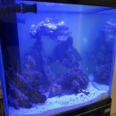 풍무숙명유치원 이미지