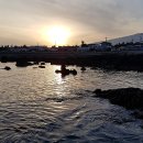 코지민박 이미지