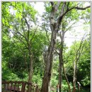 불심약수터 이미지