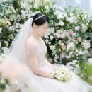 서울파피루스 | 가성비 좋았던 파피루스웨딩 본식스냅 후기 [대구 중앙컨벤션]