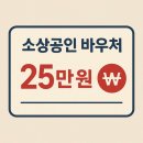 신설세탁소 | 소상공인 바우처 25만 원, 정부 발표 지원정책