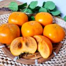 민재농장 이미지