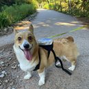 화봉교회 화장실 이미지