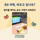 초등6학년과학 계절의 변화, 남중고도 이해한 순간 (안쌤과학 4강 후기)