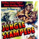 1950 정글 스탬피드 Jungle Stampede 이미지