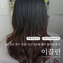 이끌린헤어 | 안산 중앙동 이끌린 헤어 클리닉 후기 - 극손상모 복구에 효과적인 3단계 단백질 케어 추천