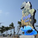 햇빛부서지는바다 이미지