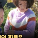 스테이매자미 이미지
