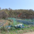 교동면-1 이미지