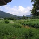 교산동 건물지 이미지