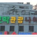 호박 관광나이트 이미지