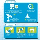 에코펫케어 이미지