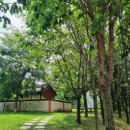 봉곡동341 | /구미/구미 브런치 맛집 ㅣ 달그릇 공방 봉곡점 후기 ㅣ 파스타샐러드 맛집 ㅇㅈ :)