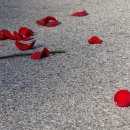 스페이스카우보이(SpaceCowboy) 이미지