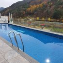 비브릿지 이미지