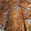 촌사람민박 이미지