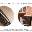 통기타(입문) 이미지