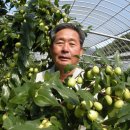 절골농장 이미지