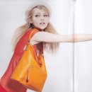 피보 이미지