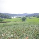 수성 태양광발전소 이미지