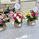 용유중학교 이미지