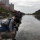 광양칠성초등학교 이미지