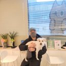 예동물병원 | 🐾오늘 모래 기록 | 예..?강아지도 결막염이 생기나요?(진짜 생김..) - 구월숲동물병원 다녀온 후기