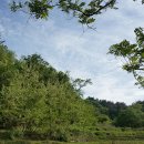 미리내 염소농장 이미지