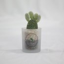 더글라스 이미지