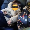 북면주유소 | 2025.11.28 ~ 30 정말 조용한 뷰 맛집 네스트 캠핑장에서 초겨울 캠핑 ❤️