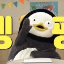 송정로 이미지