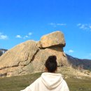 엘스관광호텔 | 몽골 하나투어 패키지 투어사 추천 가격 고비사막 여행 코스