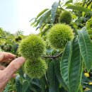 계수농장 이미지