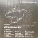 정숙옹주태실비 | 여행의 발견 - 동탄 호수공원 내에 조선시대 임금, 선조의 왕녀인 "정숙옹주 태실지"가 있어요.