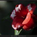 신구대학교 이미지