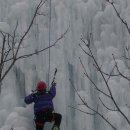 만산수목원 Daum카페