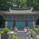 사랑한개너양 이미지