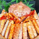 샤브라이브 이미지