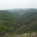 장기목장 이미지