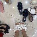 신데렐라가 훔쳐간 구두