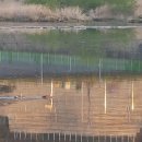 송학강변로 이미지