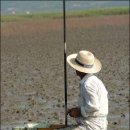 갯벌이야기 이미지