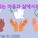 "평화는 마음과 삶에서부터!"(Peace comes from heart and life!) 이미지