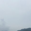춘천소양강닭갈비 이미지