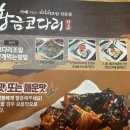 황금코다리 이미지